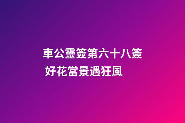 車公靈簽第六十八簽 好花當景遇狂風